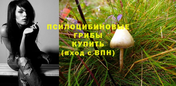 не бодяженный Вяземский