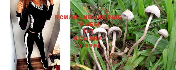 не бодяженный Вяземский